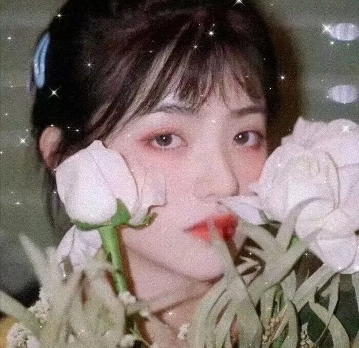 爱与希望的禁区